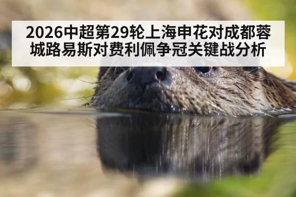 2026中超第29轮上海申花对成都蓉城路易斯对费利佩争冠关键战分析